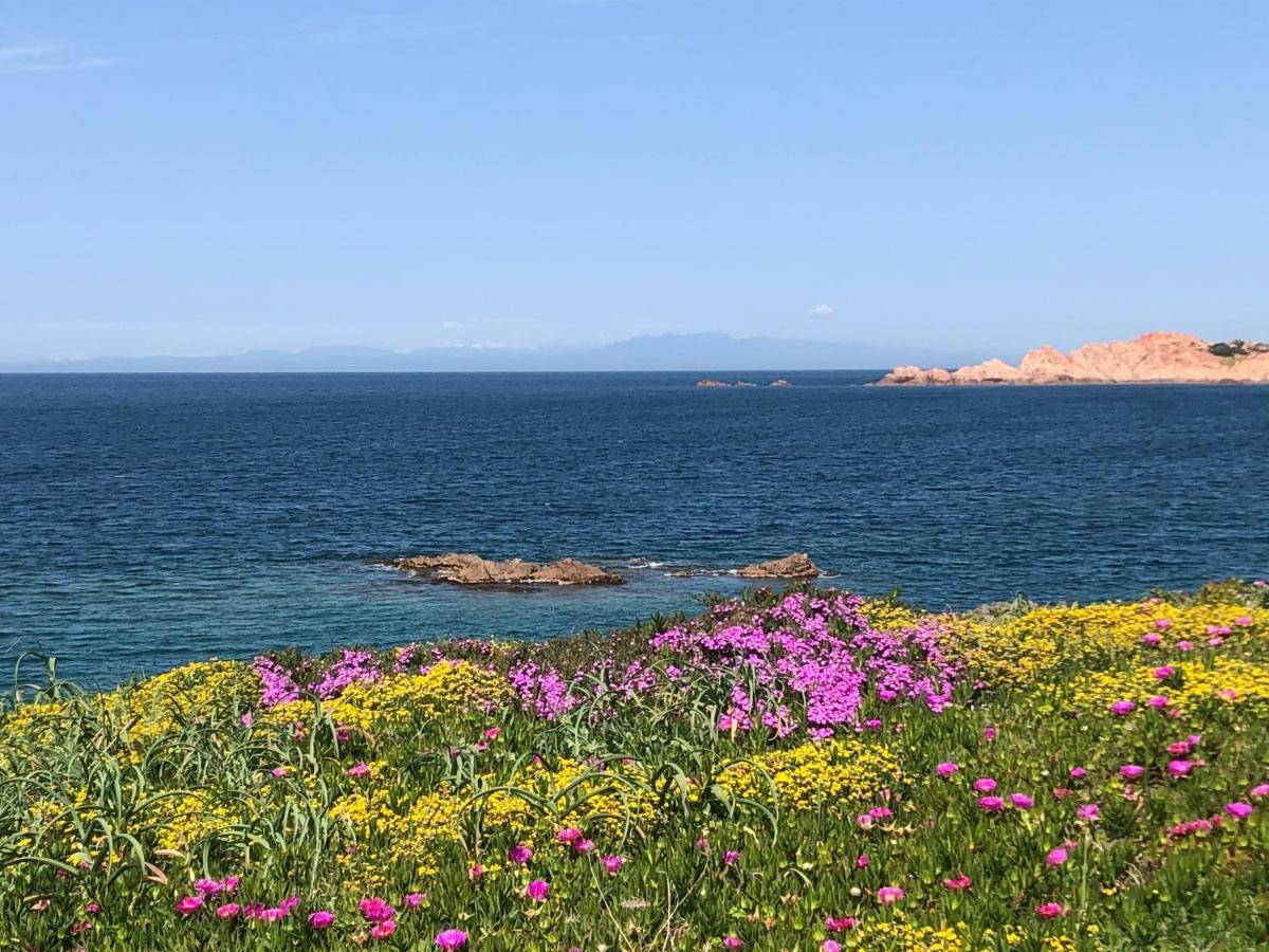 Borgo Spiaggia Isola Rossa Zewnętrze zdjęcie